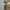 Lafudge Minimalist Casual Harrington jacket Pria brown photo 5