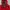 The North Face Gorpcore Casual Parka Pria red photo 1
