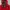 The North Face Gorpcore Casual Parka Pria Red