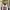 Japanese brand Vintage Streetwear Jersey Pria white photo 2
