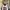 Japanese Brand Vintage Streetwear Jersey Pria White