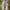 Stone Island Streetwear Casual Jeans Pria gray photo 1