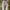 Stone Island Streetwear Casual Jeans Pria Gray