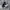 Nike Sportswear Casual Sneakers Pria white black photo 1