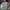 MLB Vintage Sportswear Hat Pria Green