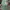MLB Vintage Sportswear Hat Pria green photo 1