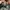 MLB Vintage Sportswear Hat Pria green photo 4