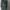 Casual Casual shirt Pria green photo 2