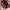 Casual Handbag Wanita pink photo 6