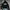 Converse Streetwear Casual Sweatshirt Pria black photo 1