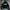Converse Streetwear Casual Sweatshirt Pria Black