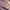 Gorpcore Sportswear Hoody Wanita purple pink photo 1