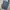 Uniqlo Casual Formal pants Pria multicolor photo 2