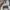 Vans Minimalist Casual Sneakers Pria white red photo 8