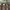 Carhartt Streetwear Casual Sweater Pria brown photo 2