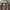 Carhartt Streetwear Casual Sweater Pria Brown