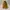 Minimalist Casual Crossbody Bag Wanita multicolor photo 5