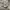 New Balance Casual Sneakers Pria silver gray photo 1