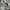 New Balance Casual Sneakers Pria silver gray photo 2