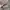 Vintage Sportswear Sunglass Pria black photo 3