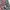 Japanese brand Streetwear Avant Garde Casual shirt Pria blue red photo 5