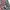 Japanese brand Streetwear Avant Garde Casual shirt Pria blue red photo 4