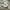 New Balance Casual Sneakers Pria silver white photo 1
