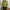 Streetwear Reworked Jumper Pria multicolor green photo 1
