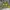 Streetwear Reworked Jumper Pria multicolor green photo 2