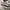 Nike Casual Sneakers Pria white gray photo 6