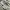 Nike Casual Sneakers Pria white gray photo 2