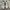 Nike Casual Sneakers Pria white gray photo 3