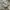 Nike Casual Sneakers Pria white blue photo 1