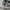 Nike Casual Sneakers Wanita white gray photo 6