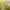 Muslim Casual dress Wanita white yellow photo 4