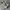 New Balance Sportswear Sneakers Pria white photo 1