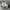 New Balance Sportswear Sneakers Pria white photo 3