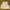 Japanese brand Coquette Casual Cami top Wanita white pink photo 1