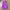 Nike ACG Streetwear Sportswear Crop top Wanita purple photo 1