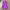 Nike ACG Streetwear Sportswear Crop Top Wanita Purple