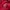 Sportswear Suit Pria red photo 4