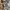 Japanese brand Streetwear Indie Blazer Wanita multicolor photo 6
