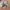Japanese brand Streetwear Indie Blazer Wanita multicolor photo 5