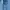 LANVIN Casual Polo shirt Pria blue photo 4
