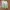 Japanese Brand Cottagecore Coquette Skirt Wanita Multicolor