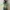 Japanese brand Lolita Indie Skirt Wanita multicolor photo 2