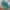 Japanese brand Lolita Indie Skirt Wanita multicolor photo 4