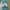 Japanese brand Lolita Indie Skirt Wanita multicolor photo 1