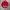 Kansai Yamamoto Vintage Parka Pria red photo 3