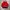 Kansai Yamamoto Vintage Parka Pria red photo 2